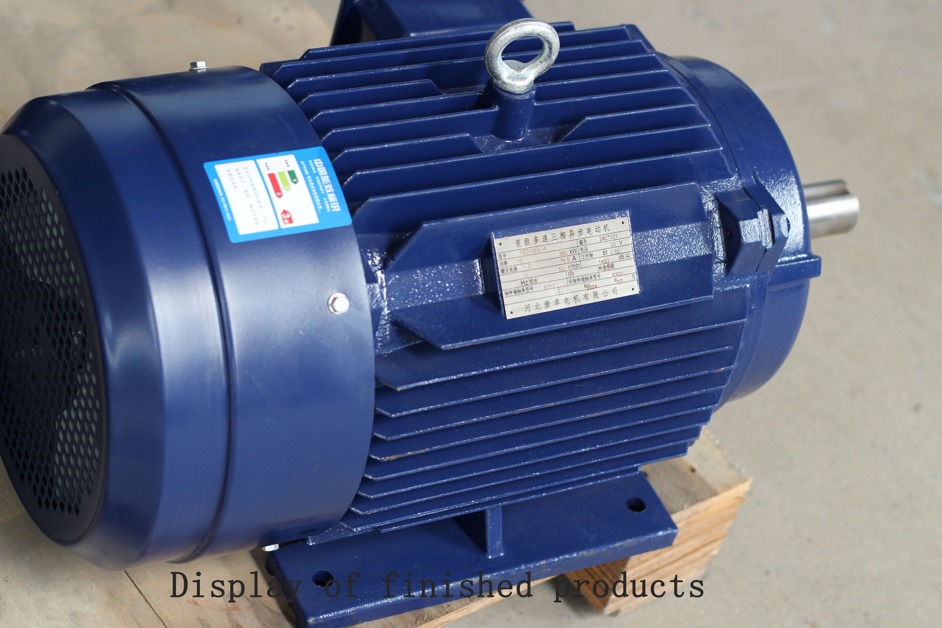 IE3 High Efficiency Motor Factory