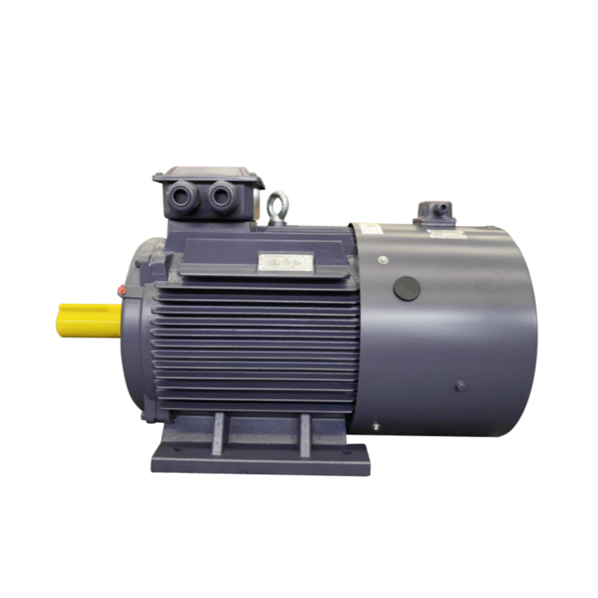 0.75-500kw Variable Frequency 3-Phase Ac Asynchronous Induction Motor