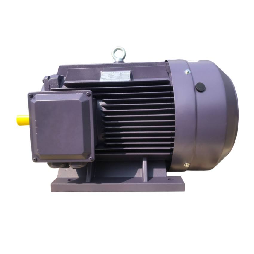 0.75KW-15KW AC Electric Motor YE3/YE4/YE5/IE3/IE4/IE5 3 Su Pompası İçin Demir Dökümlü Faz Motorlu Elektrik