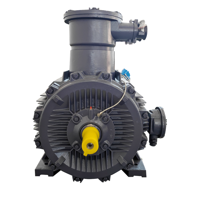 0.75kw-315kw Flame Proof Motor Electric with Squirrel Cage Explosion-proof Motor for Industrial