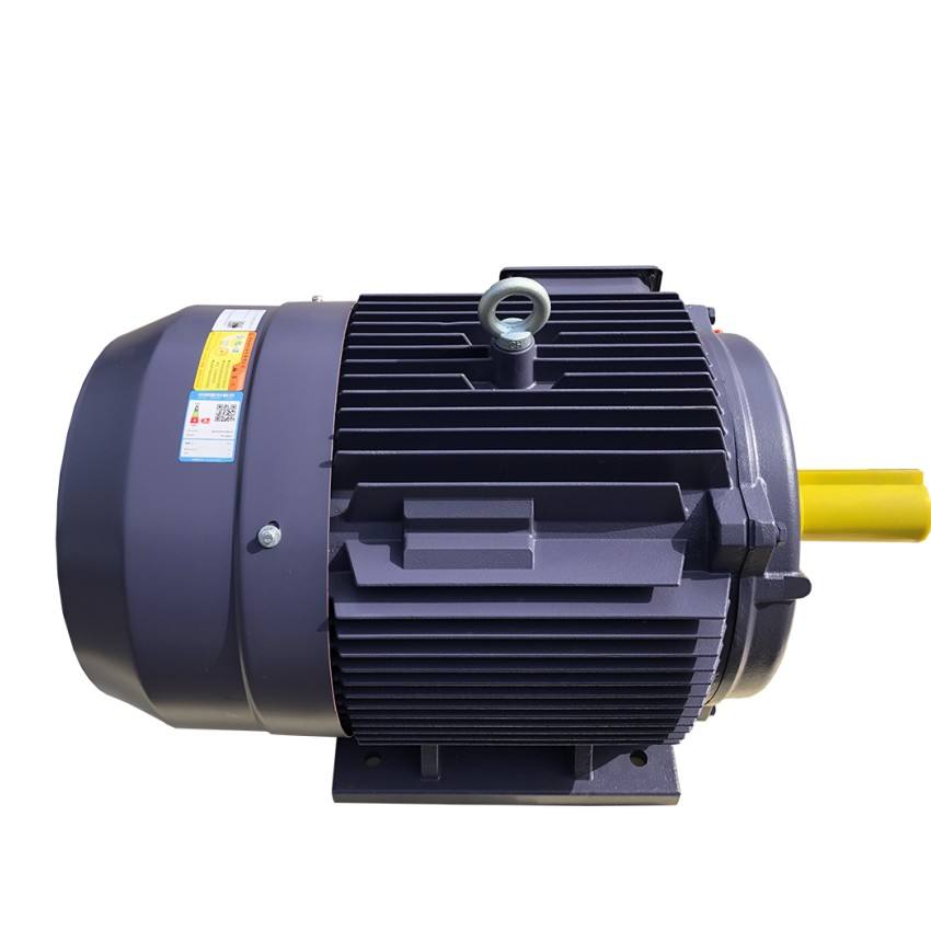 15kw (20 HP)380IP55를 갖춘 V/415V 50Hz 삼상 전기 AC 모터 & 철 주물