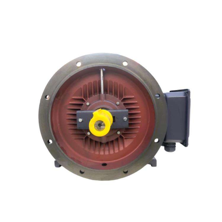 3 位相同期 710mm 産業用 Axia 240v 高トルク低 Rpm 単相 2hp 電気 220v AC 速度制御モーター付き