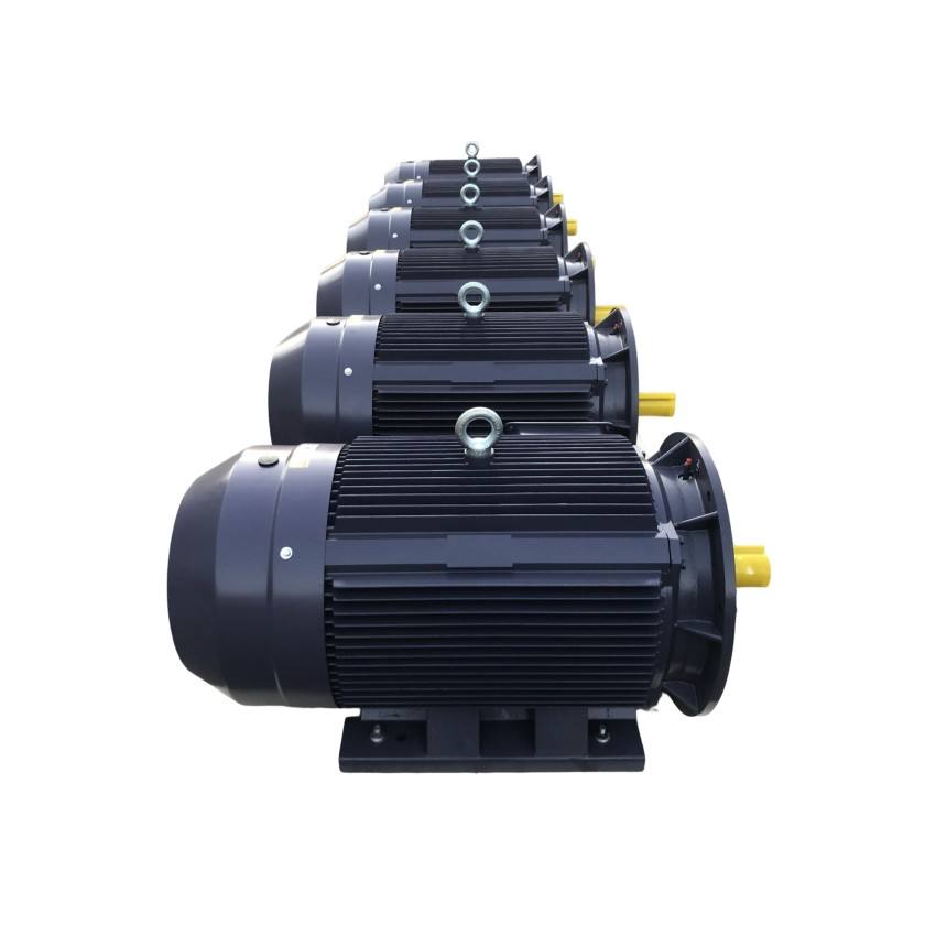 30 Hp Three Phase Three Phase Induction Motor Production Line Cone Rotor 3-Phase Induction Motor