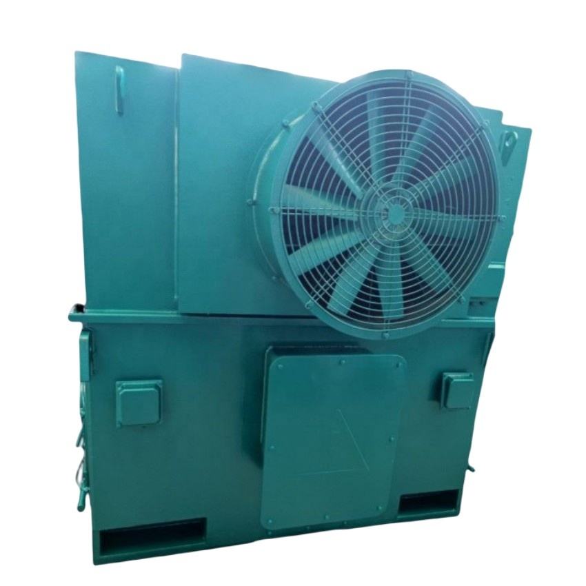 350kw Asenkron Ac Motor 6.6kv Asenkron Motor Üç Fazlı Elektrik Motoru