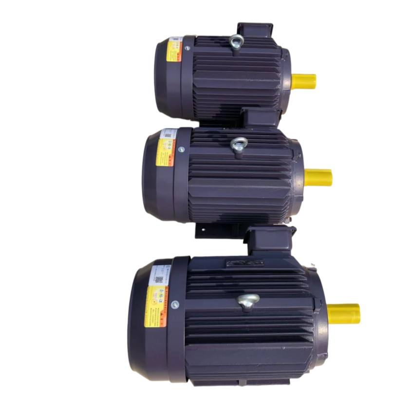 50HZ/60HZPremium Efficiency Cast Iron three phase AC Industrial Electric/Electrical Induction Asynchronous Motor