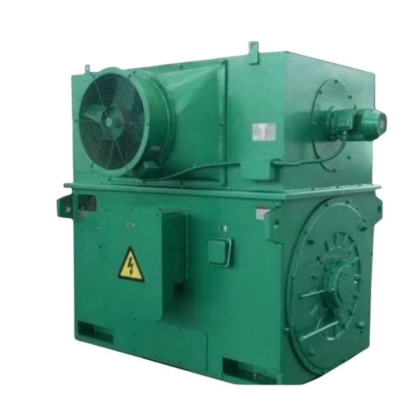 6.6KV 1250KW 삼상 농형 고전압 전기 AC 비동기 유동 전동기 2850 rpm