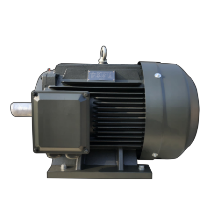 90kW Explosion Proof Asynchronous Electric Three Phase Induction Motor Pump