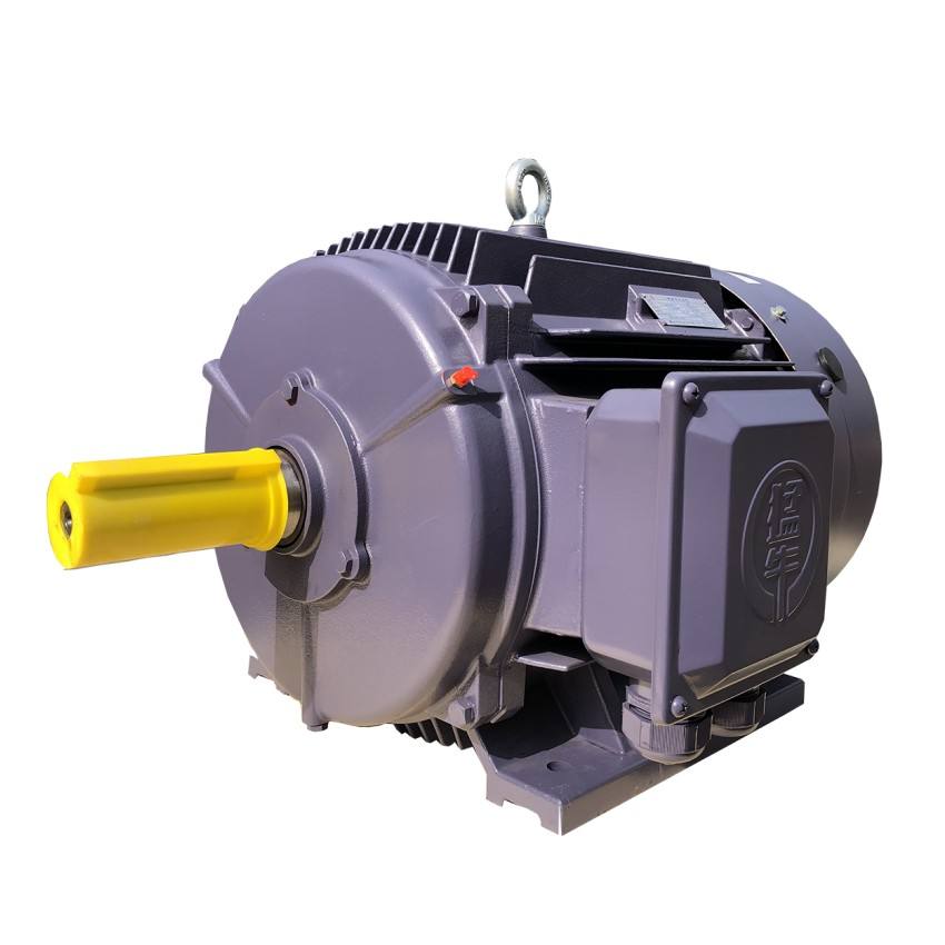 AC Electric Pump Motor with 380V/415V 50Hz Three Phase Electric Motor Factory