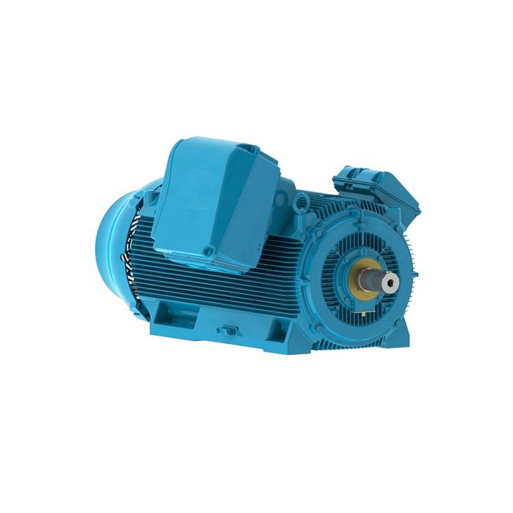 Asynchronous Induction Electric Squirrel Cage Slip Ring 6kv-13.8kv High Voltage Motor Ac Induction Motor