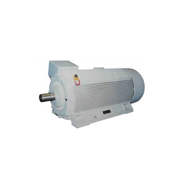 Asynchronous Induction High Voltage 3000kw Electric Motor Asynchronous Motor