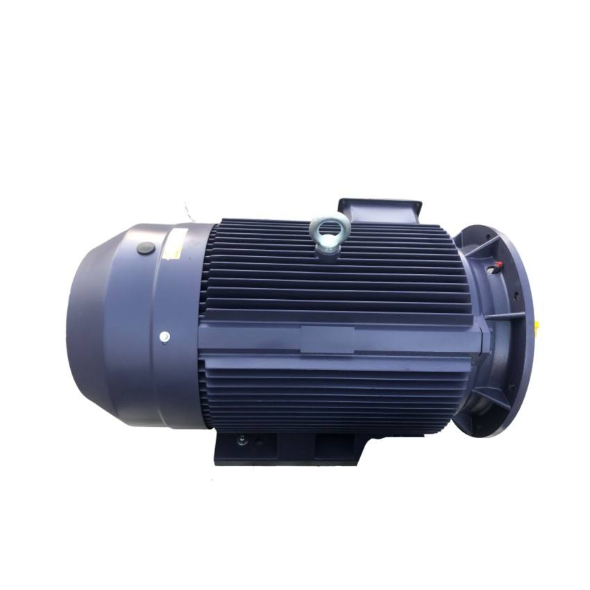 CE IE3/IE4/IE5 Premium Efficiency Electrical Motor/Induction Electric Motor with 380V 400V/690V