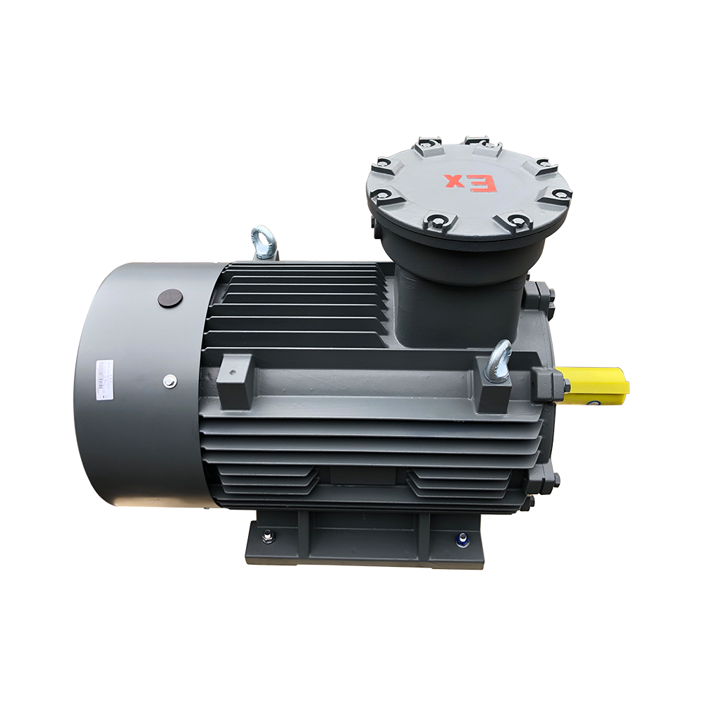 Constant speed Three Phase Explosion Proof Flameproof AC Asynchronous Induction cast iron Electric Motor