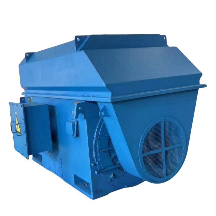 Customized 3.3kv Asynchronous Three Phase Induction Electric Motor High Voltage AC Motor