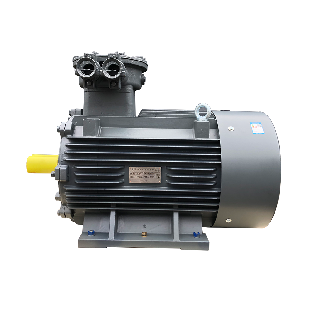 Customized 400V 110kw Asynchronous AC Induction Electric Motor Ex Three Phase Motor