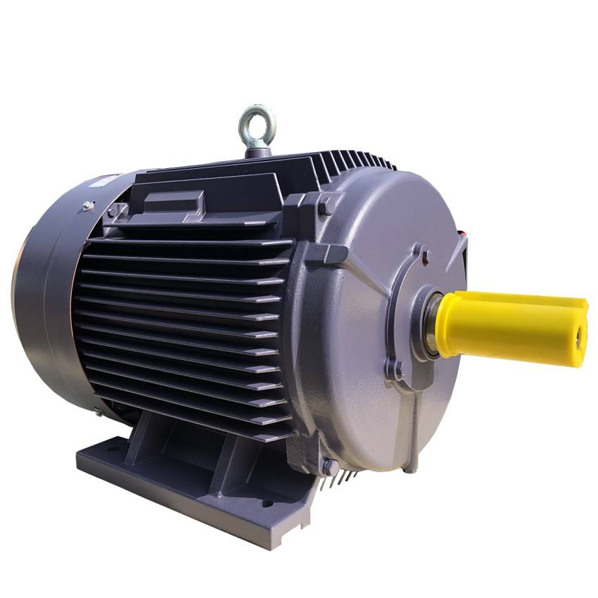 Energy-saving TEFC Electric AC Three-phase Squirrel Cage Induction Motor 22kw