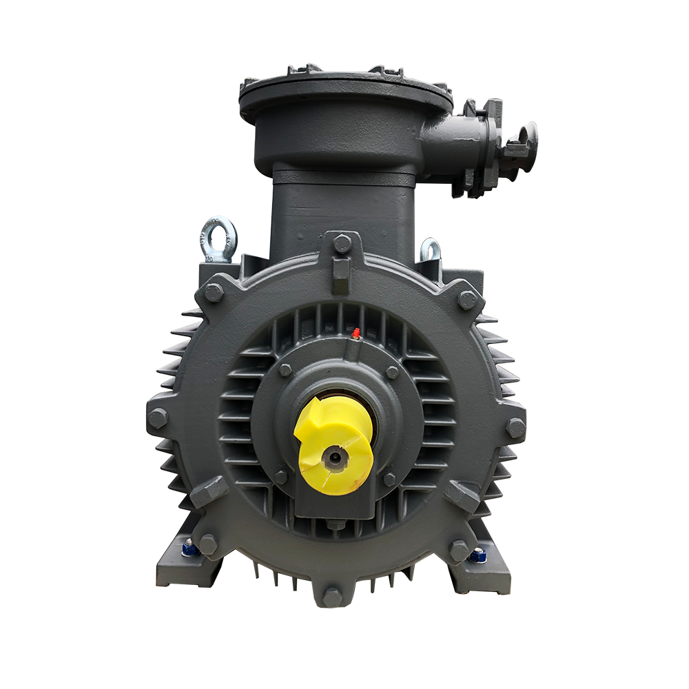 Patlamaya Dayanıklı 50hp Patlamaya Dayanıklı Motor 75hp Patlamaya Dayanıklı Motor 2.2 Kw