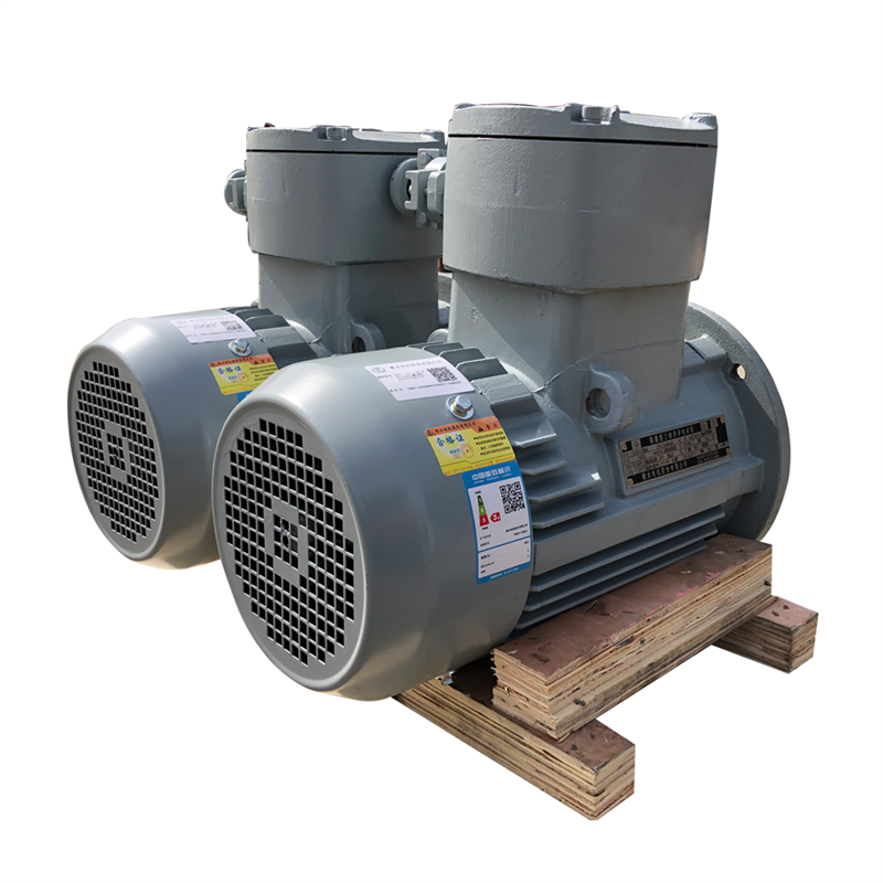 High Quality Explosion Proof Motor Industrial Using AC Electrical Asynchronous Motor 3 phase