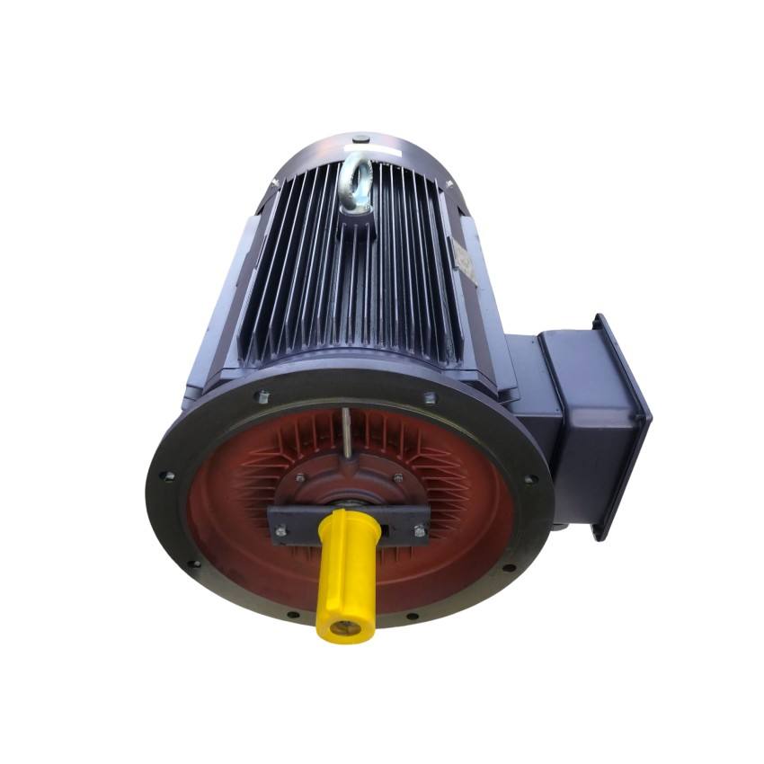 Fan for Ac Electronic Brake Three Phase Induction Motor Electrical Motor Three Phase 22kw 30hp Price