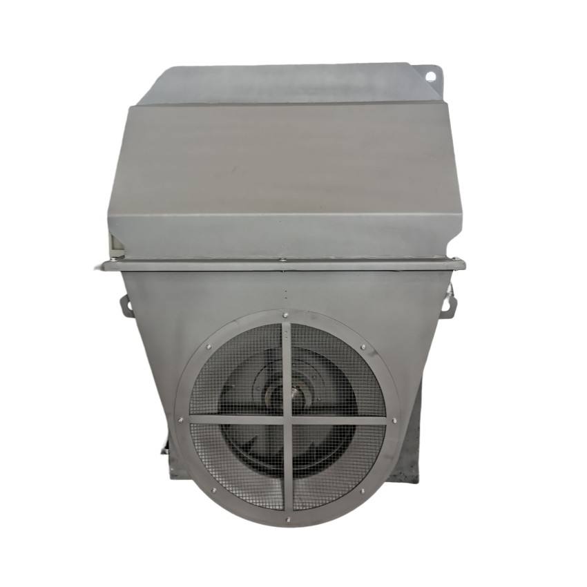 Motor eléctrico de inducción de CA asíncrono trifásico de alto voltaje 3kv/6kv