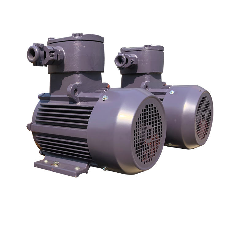 IEC Hazardous Area Used Explosion Proof Motor Three Phase AC Electric Induction Asynchronous Motor