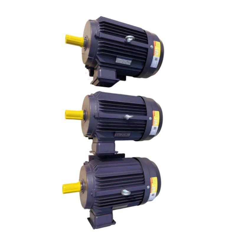 IEC Standard IE3/IE4/IE5 Asynchronous Three Phase AC Electric Motor with CE &OIN