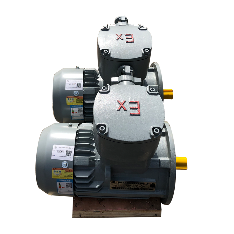 Industry Application Asynchronous Three Phase Flame Proof Electric Motor