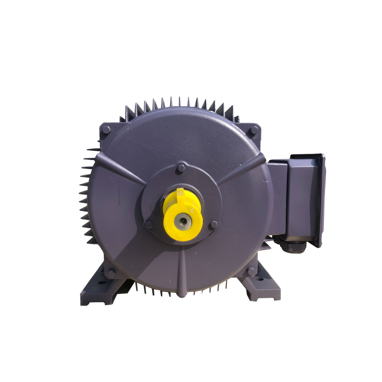 Low Voltage AC Motors with 50Hz B3 for Water Pump 220V/380V/415V Motor Electric