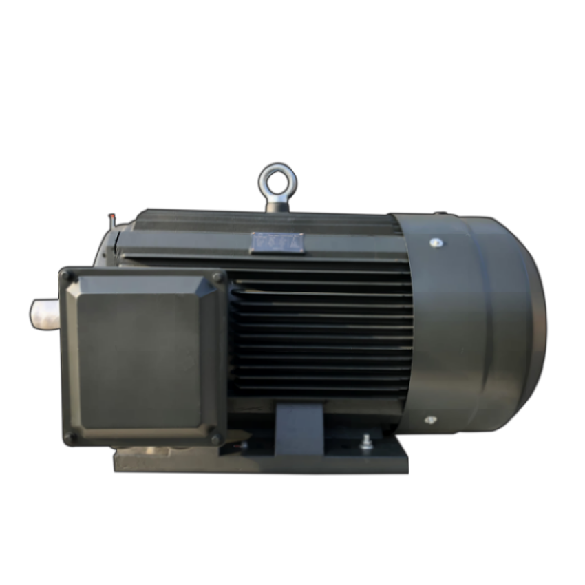 OEM 75kw 415V Motor eléctrico de baja tensión trifásico de inducción asíncrono de alta eficiencia