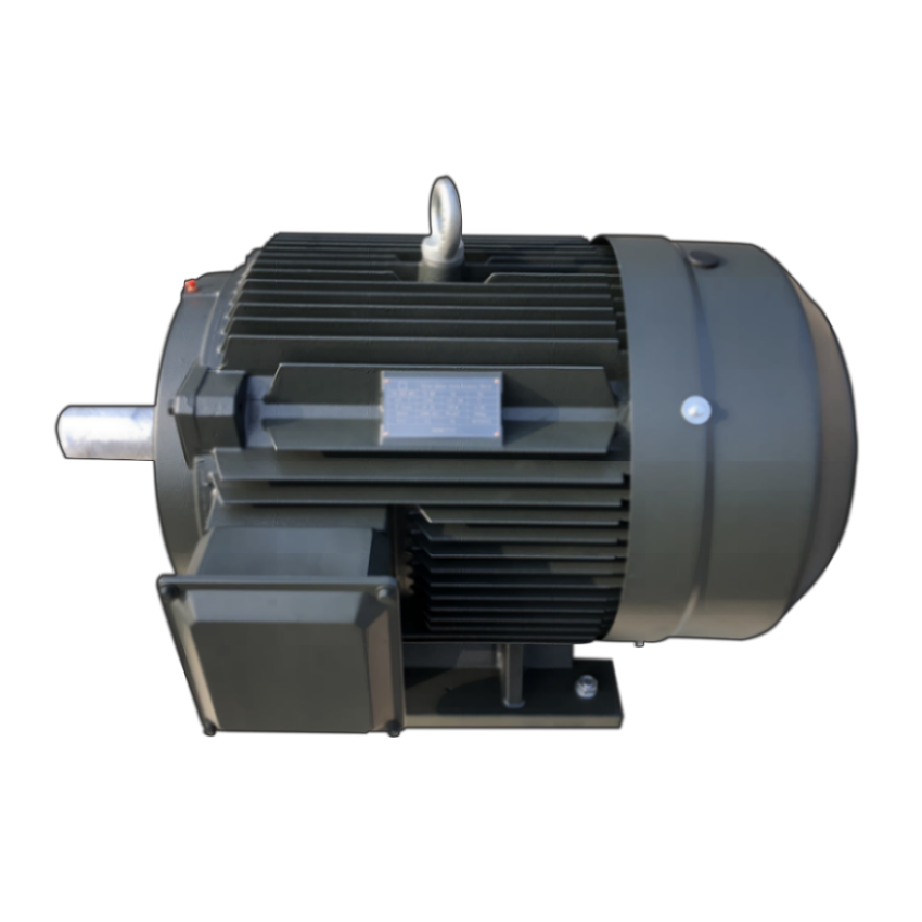 Top Quality 55kw High Efficiency Energy Small Three Phase Asynchronous Electric Ie2/Ie3/Ie4/Ie5 AC Motor