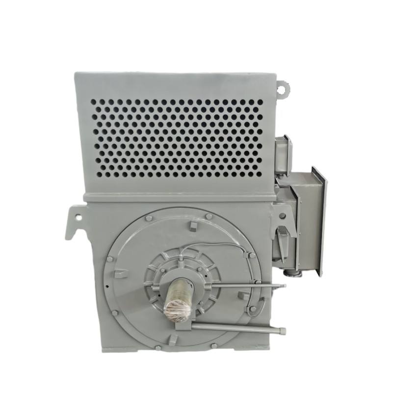 Wholesale Asynchronous AC Motor Three Phase Induction Motor High Voltage Electric Motor