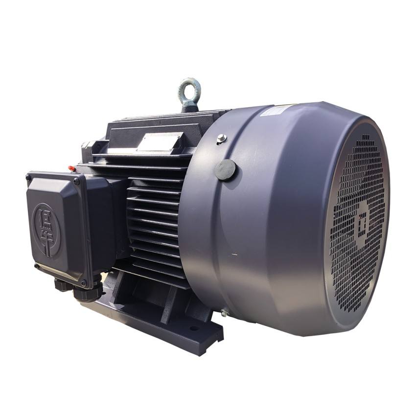 YE3/YE4/YE5 22KW TEFC tipo motor de jaula de ardilla asíncrono eléctrico de inducción trifásico a la venta