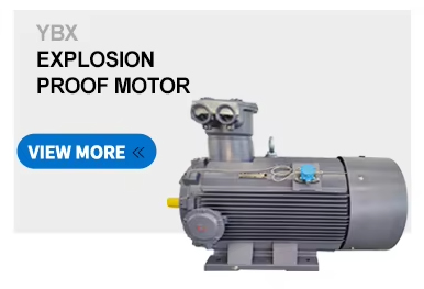 Explosion Proof Motor