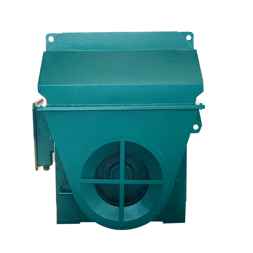 185kW-900kW Asynchronous Three Phase Electric High Voltage AC Motor for Cement Plant