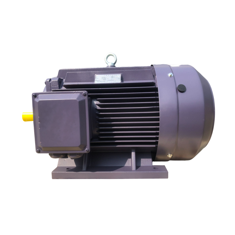 Electrical Supplies TEFC Type Induction Motor YE2/YE3/YE4/YE5 Three-phase Asynchronous Motor