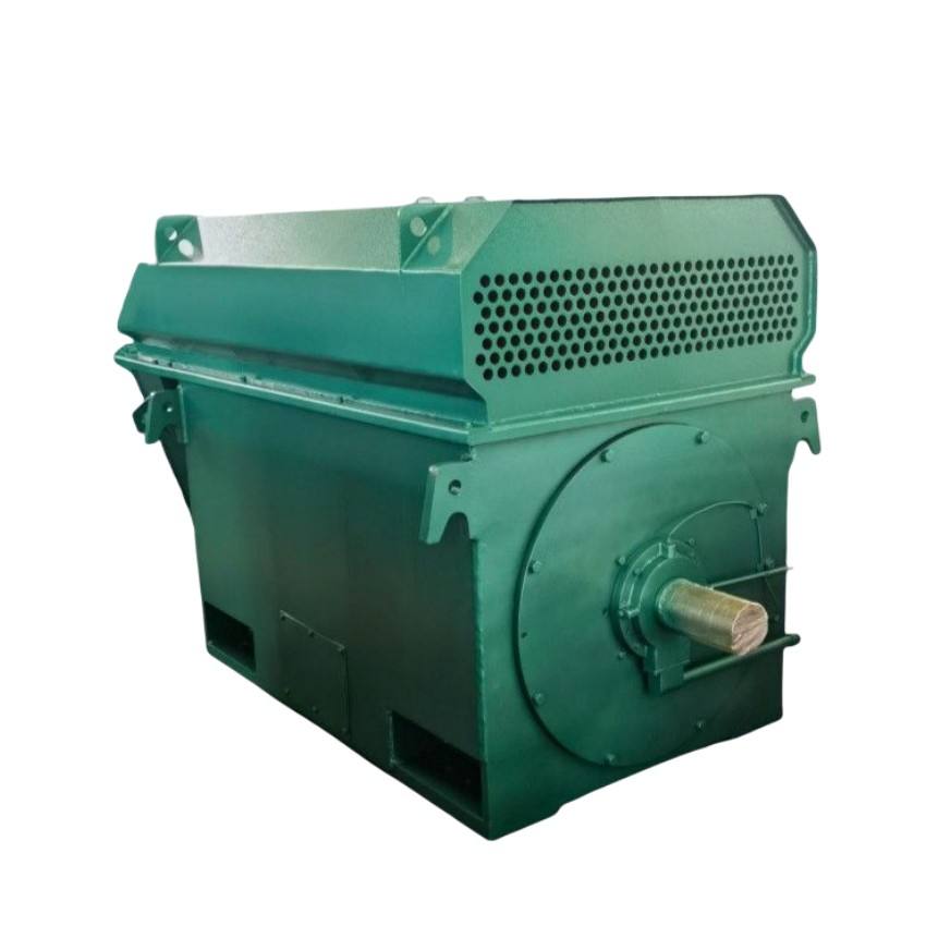 High Speed Low Voltage High Voltage 5000 Watt Hub Customized 6.6kv 1250kw High Voltage Motor