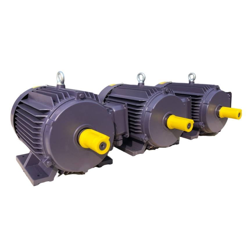 IEC Standard IE3/IE4/IE5 Asynchronous Three Phase AC Electric Motor with CE &OIN