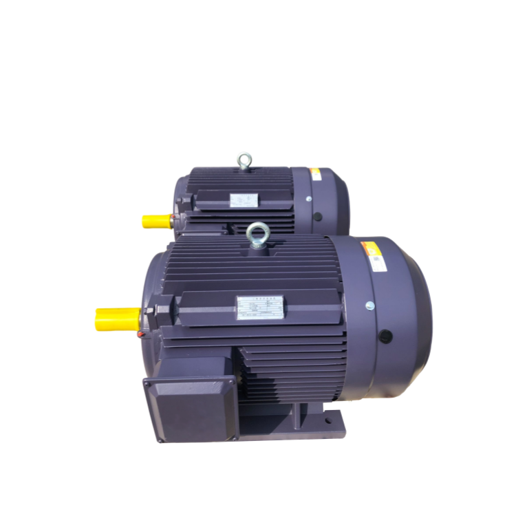 Squirrel Cage High Efficiency Three Phase Asynchronous Electrical/Electric AC Motor