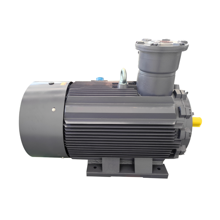 Wholesale Factory Asynchronous Three Phase Flame Proof Electric Motor